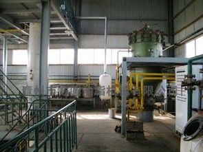 动植物油精炼设备与服务概览 从生产到市场，再到多元化经营